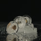G-Silver Seal-Ring Unisex